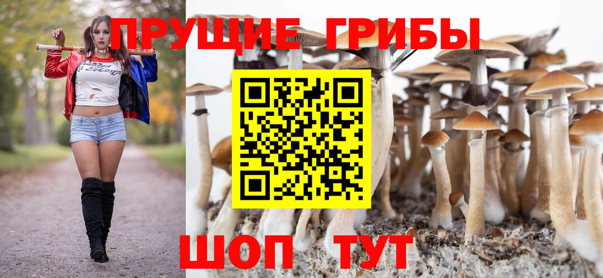 Горячий Ключ  Галлюциногенные грибы ЛСД  Вход с VPN  Галлюциногенные грибы Psilocybe 